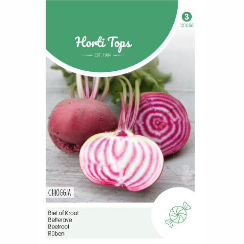 Beetroot - Chioggia