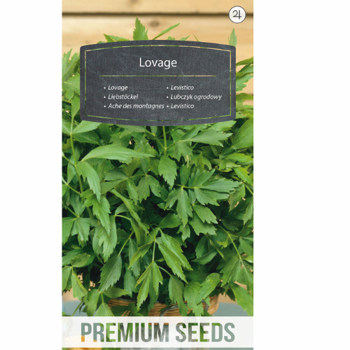 Lovage