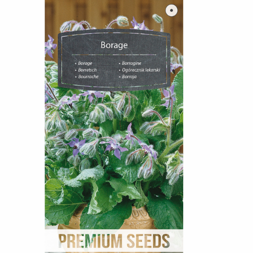Borage