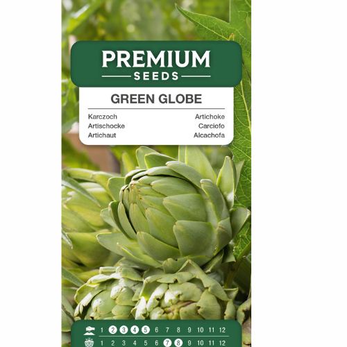 Artichoke - Green Globe