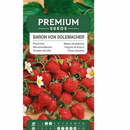 Wild strawberries - Baron von Solemacher