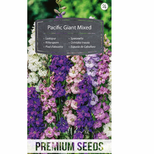Garden spurge - Pacific Giant mix