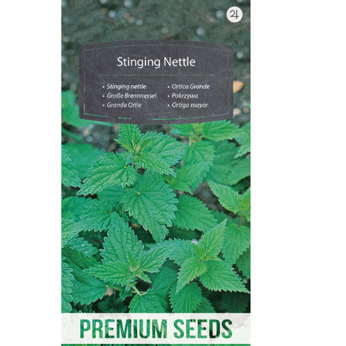Stinging nettle