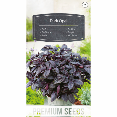 Purple Basil - Dark Opal