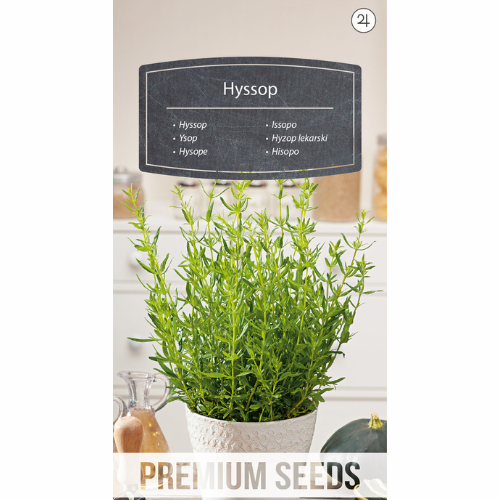 Hyssop