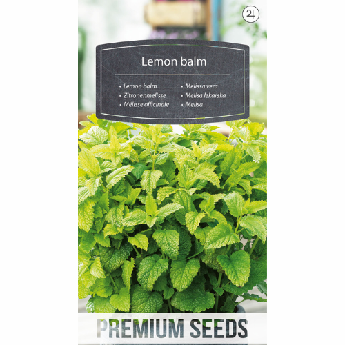Lemon balm