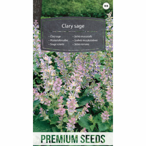 Clary sage