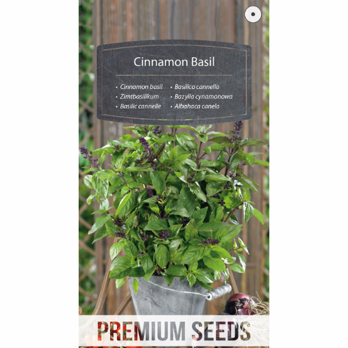 Cinnamon basil