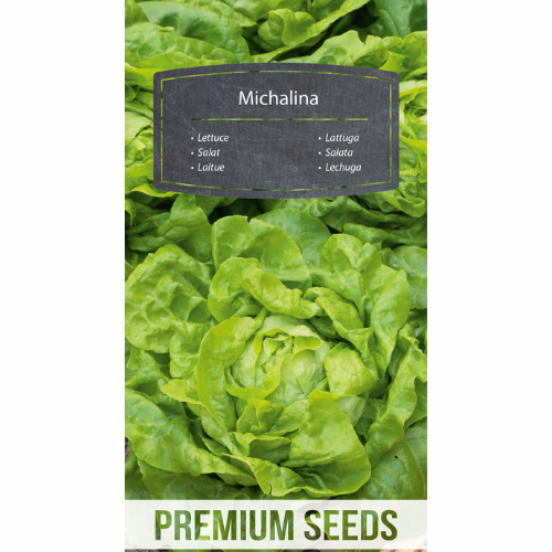 Main salad - Michalina