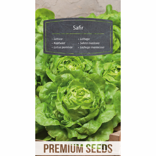 Salad - Sapphire
