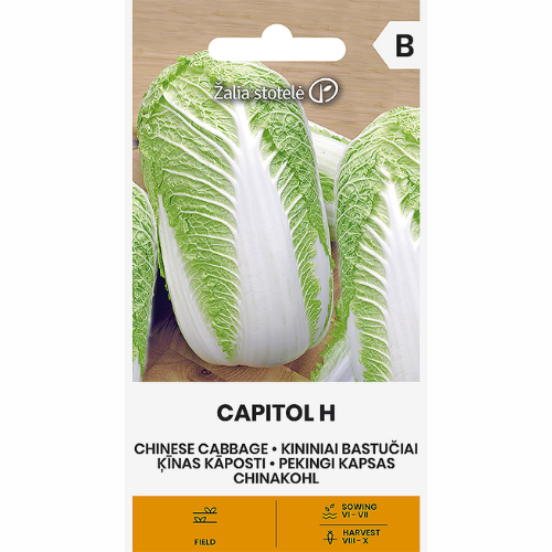 Chinese cabbage - Capitol H