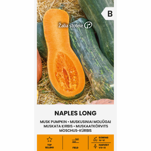 Musk Pumpkin - Naples Long