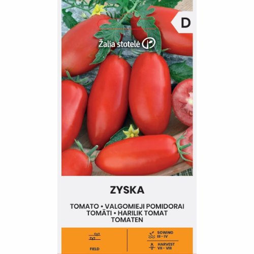 Tomat - Zyska