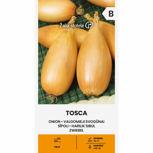 Onion - Tosca