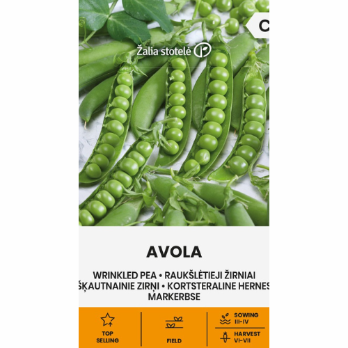 Marjoram - Avola