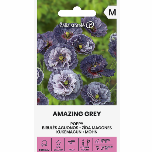Poppy - Amazing Grey
