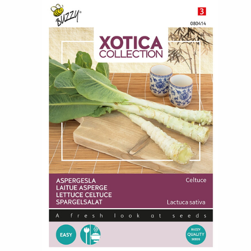 Stem lettuce – Celtuce