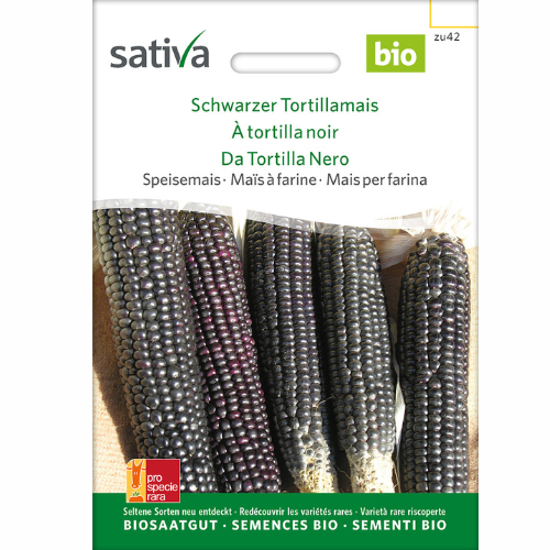 Organic Corn – Black Tortilla Maize