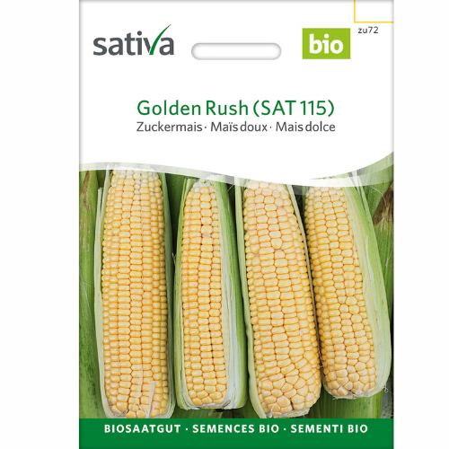 Organic Sweet Corn – Golden Rush