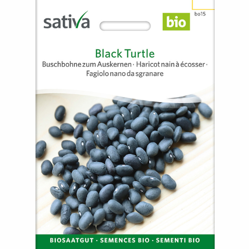 Buskböna – Black Turtle