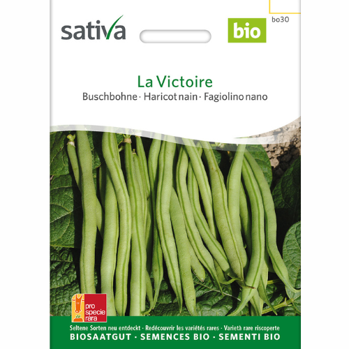 Buskböna – La Victoire