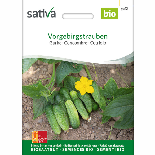 Pickled cucumber – Vorgebirgstrauben