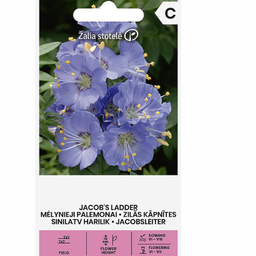 Blågull – Jacob’s Ladder