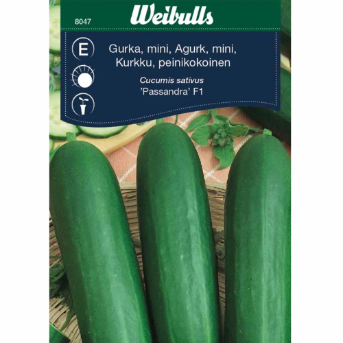 Cucumber - Passandra F1