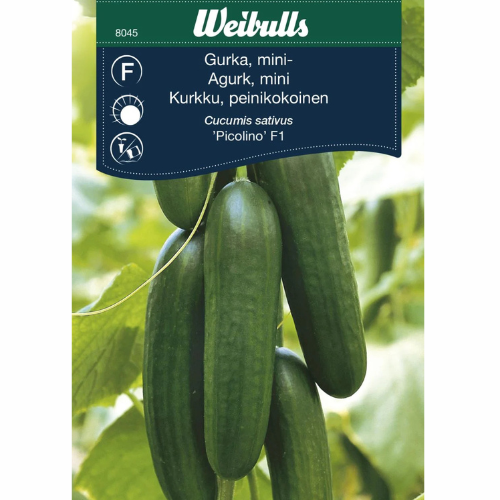 Gurka- Picolino F1