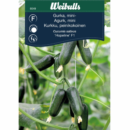 Cucumber - Hopeline F1 