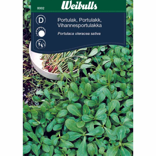 purslane