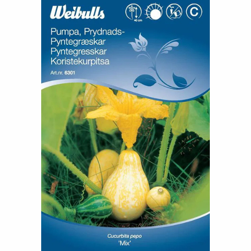 Ornamental pumpkin – Mix