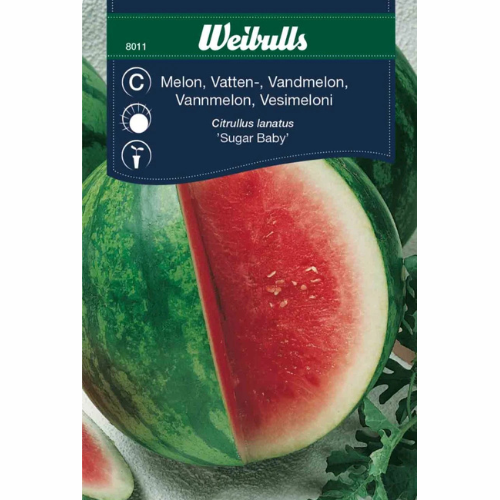 Watermelon – Sugar Baby