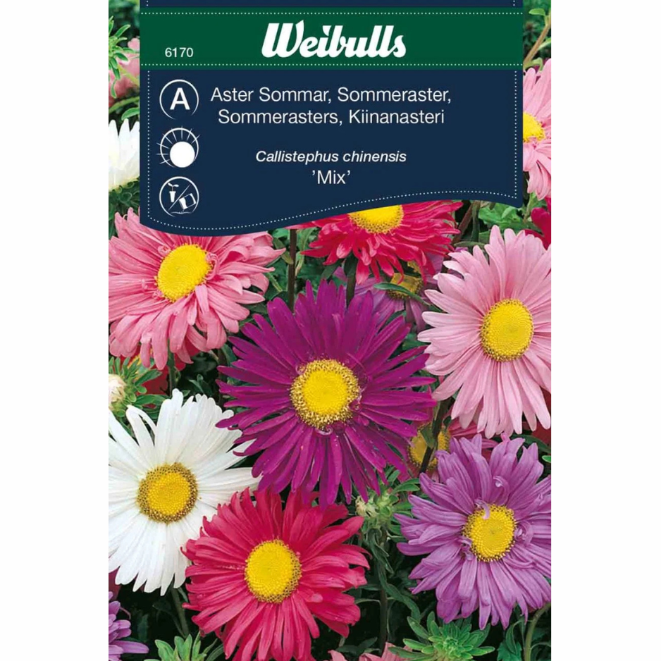 Sommaraster Mix