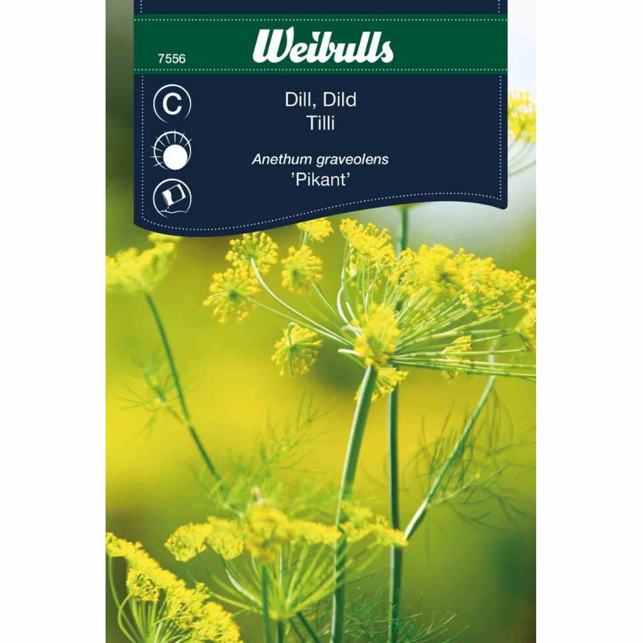 Dill – Pikant