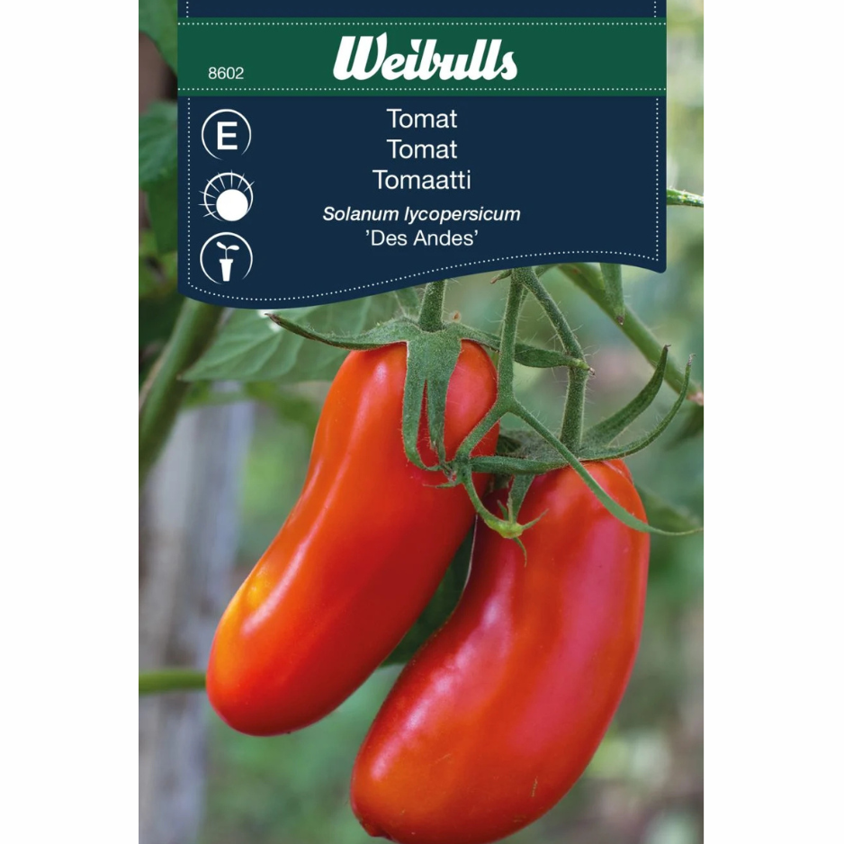 Tomat – Des Andes