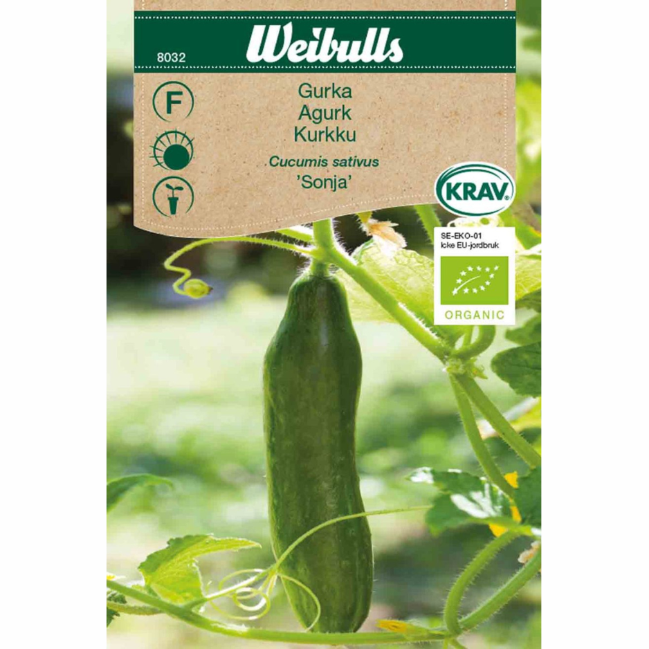 Cucumber – KRAV &