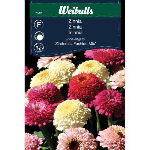 Zinnia – Zinderella Fashion Mix