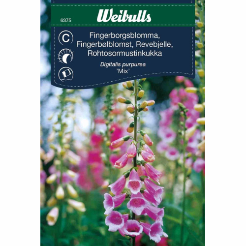 Fingerborgsblomma – Mix