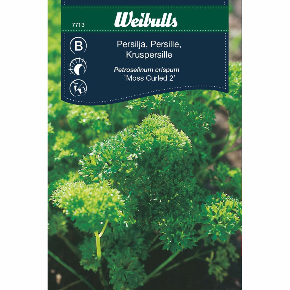 Parsley, jar – Moskrul 2