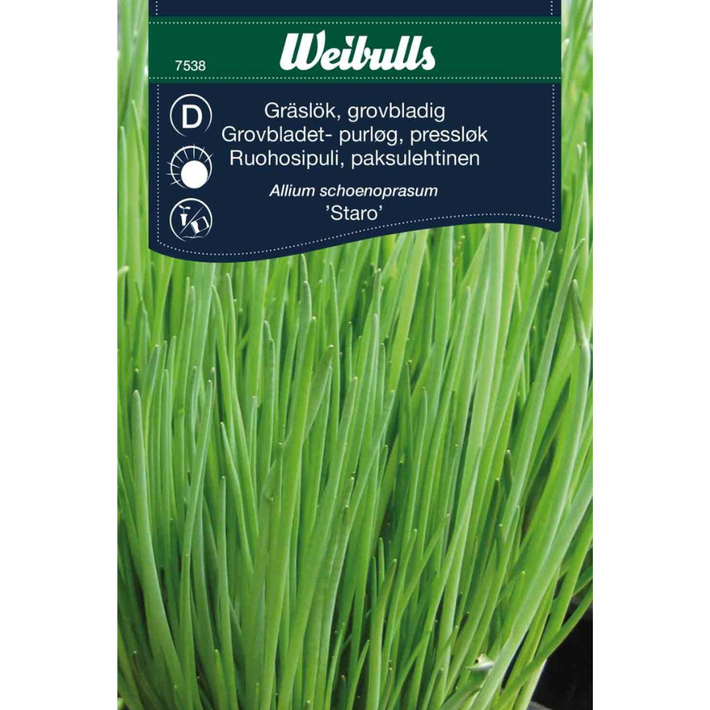 Chives – Staro