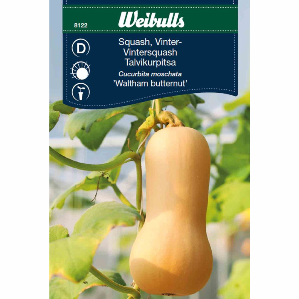 Butternut Squash – Waltham Butternut