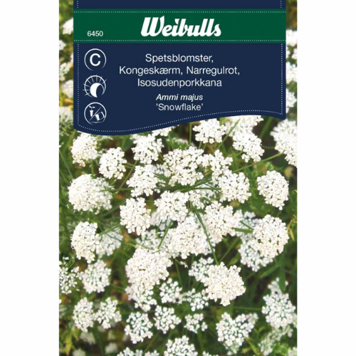 Spetsblomster – Snowflake