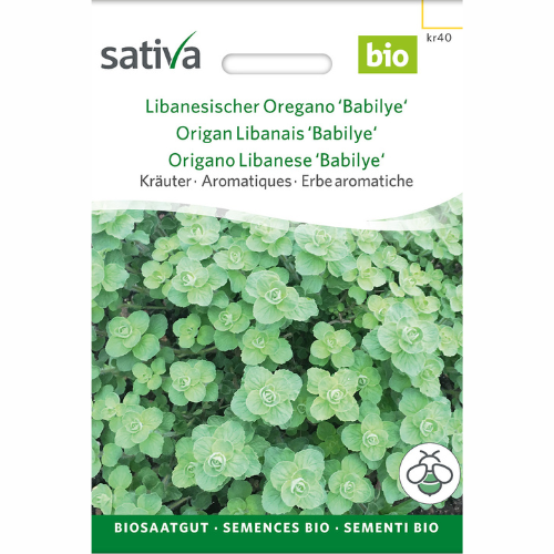 Libanesisk oregano - Babilye