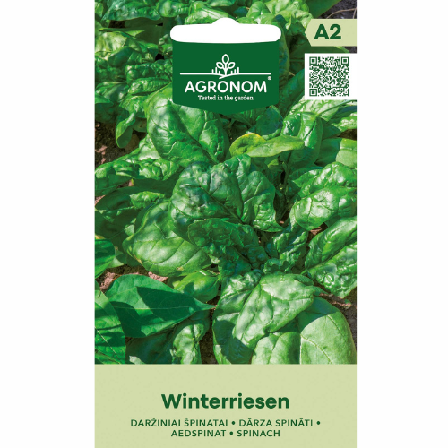 Spinach - Winter Giant