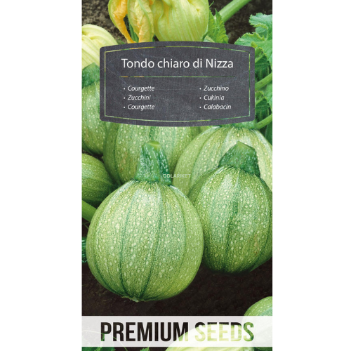 Squash - Tondo chiaro di Nizza - 27 frön