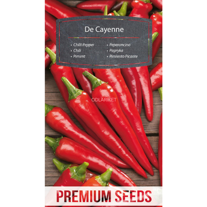 Chilli Pepper - De Cayenne - 65 seeds