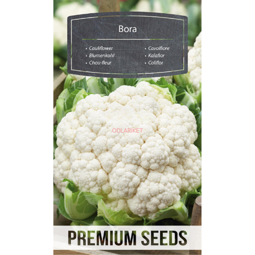Cauliflower - Bora - 270 seeds