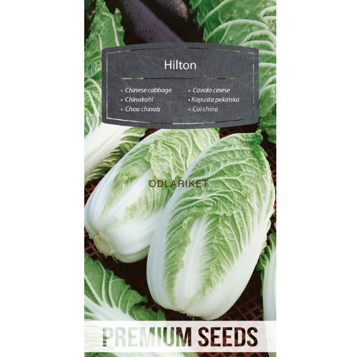 Salad bowl - Hilton - 215 seeds