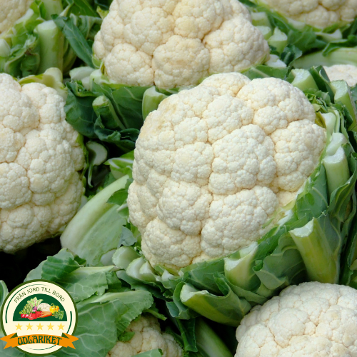 Cauliflower - Igloo - 270 seeds